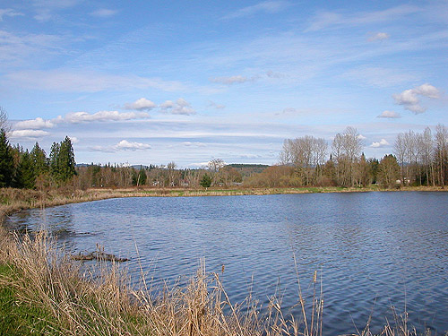 day becomes sunny, Carlisle Lake Park, Lewis County, Washington