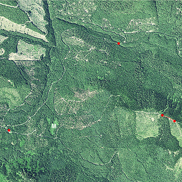 aerial photo of Catt Creek field area, Lewis County, Washington
