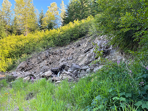 small quarry, tributary of Catt Creek, northeastern Lewis County, Washington