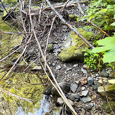 streamside rocks, Catt Creek, northeastern Lewis County, Washington