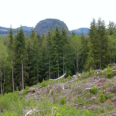 Bald Mountain from clearcut S of Lake Creek, west of Lake Cavanaugh, Skagit County, Washington