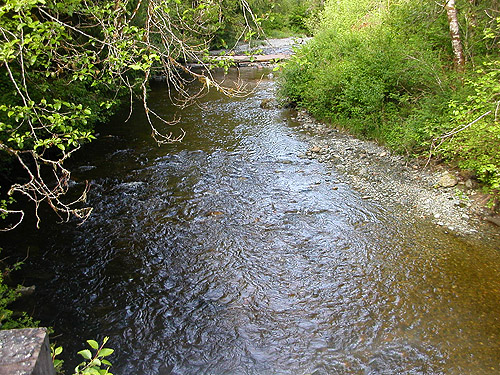 Pilchuck Creek near confluence of Lake Creek, Skagit County, Washington