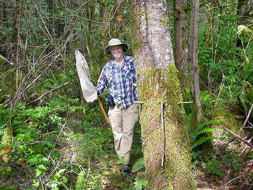 Laurel Ramseyer emerges from woods, western part Centralia-Alpha Road, Lewis County, Washington