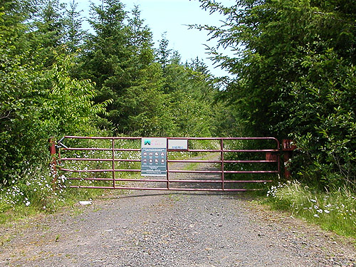 gate to private timberland, western part of Centralia-Alpha Road, Lewis County, Washington