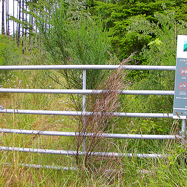gate to western clearcut, western part Centralia-Alpha Road, Lewis County, Washington