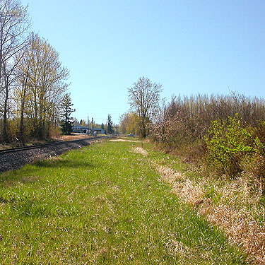 field along railroad tracks north of Grandview Road, Whatcom County, Washington