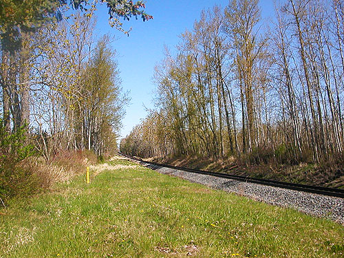 habitats along railroad tracks north of Grandview Road, Whatcom County, Washington