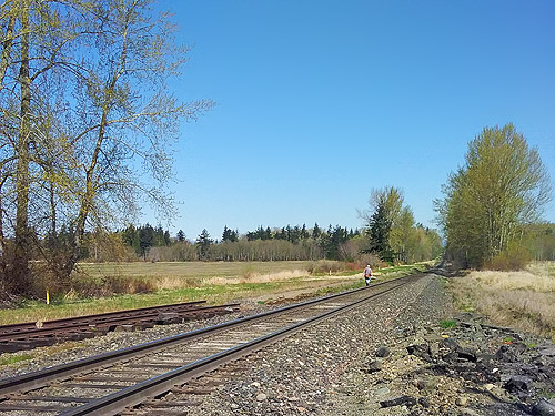 Rod Crawford hikes along railroad tracks north of Grandview Road, Whatcom County, Washington
