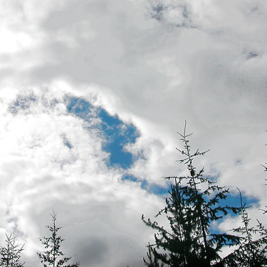 blue patch in sky, China Point area, Cle Elum River, Kittitas County, Washington