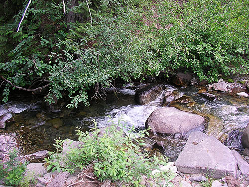 Paris Creek below the road, NE of China Point, Cle Elum River, Kittitas County, Washington