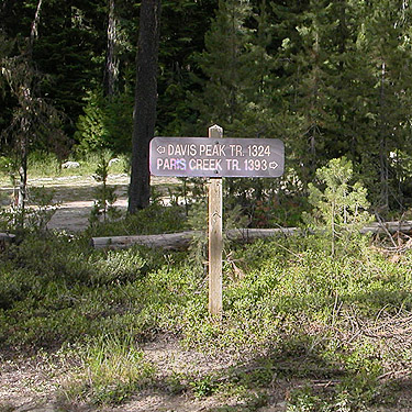 two major trails leave from here, NE of China Point, Cle Elum River, Kittitas County, Washington