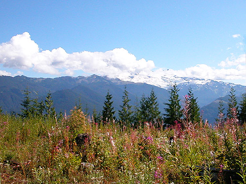 view of Mt. Baker from summit of West Church Ridge, Whatcom County, Washington