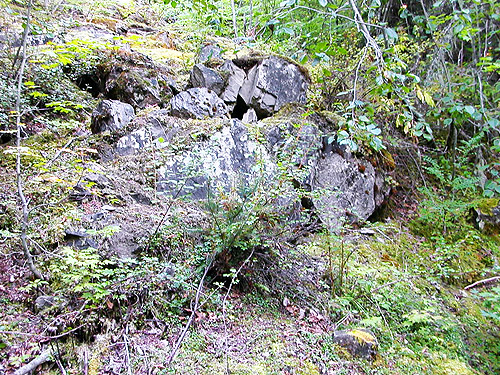 broken rock outcrop, crest of West Church Ridge, Whatcom County, Washington