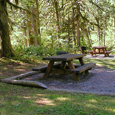 tables in group camp area, Douglas Fir Campground, Whatcom County, Washington