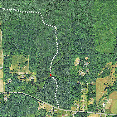 aerial photo of forest tract near Cinebar, Washington