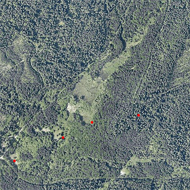 2024 aerial view, area of Woods Creek Nature Trail, Lewis County, Washington