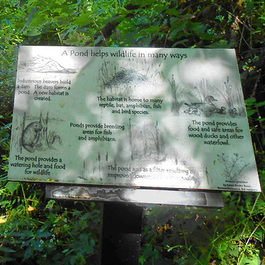 inaccurate interpretive sign, Woods Creek Nature Trail, Lewis County, Washington