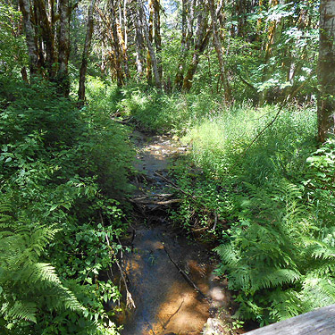 Woods Creek from Woods Creek Nature Trail, Lewis County, Washington