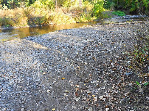 gravel bar unproductive of spiders, Mill Creek at Cole Road, NE of Colville, Washington