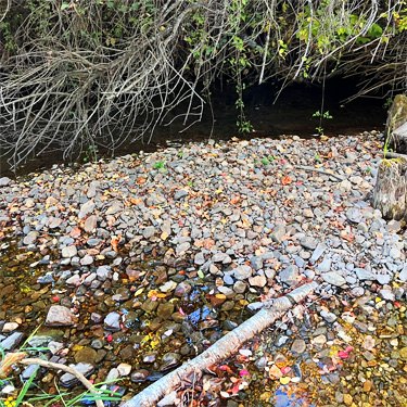 Gravel bar productive of spiders, Mill Creek at Cole Road, NE of Colville, Washington