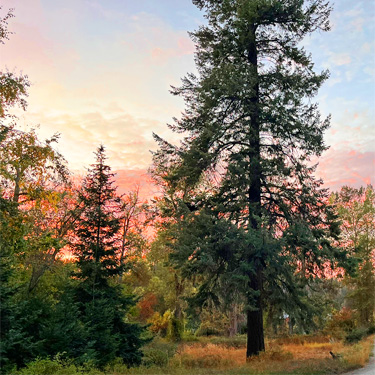 sun setting, Mill Creek at Cole Road, NE of Colville, Washington