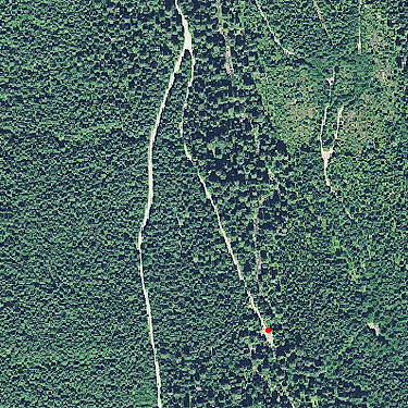 2015 aerial photo of spider site on Berry Creek, Lewis County, Washington