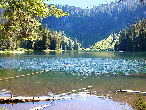 Cora Lake, Lewis County, Washington