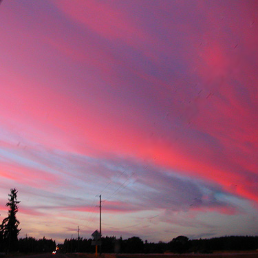 pink clouds at sunset, highway 7 south of Spanaway, Washington on 9 August 2021