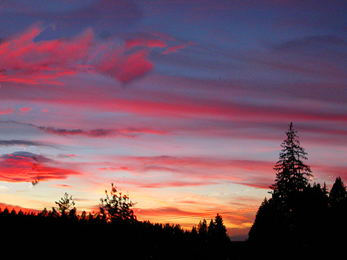 late sunset on Highway 7, Pierce County, Washington, 9 August 2021
