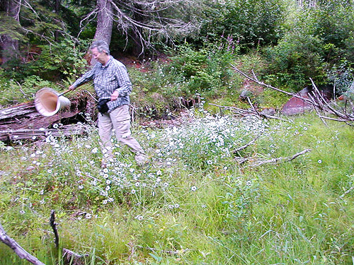 Laurel Ramseyer sweeping bog meadow at Cora Lake trailhead, Lewis County, Washington