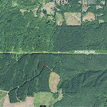 2021 aerial view of spider sites in Cousins Road-Buckhorn Hill area, Lewis County, Washington