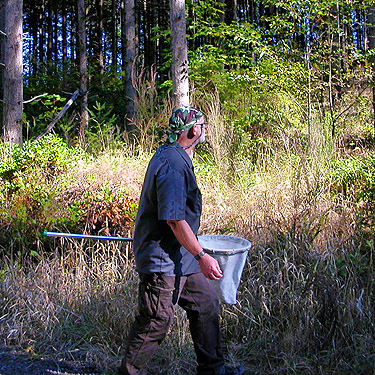 Dan Nelson purposefully spider collecting, south end of Cousins Road, Lewis County, Washington