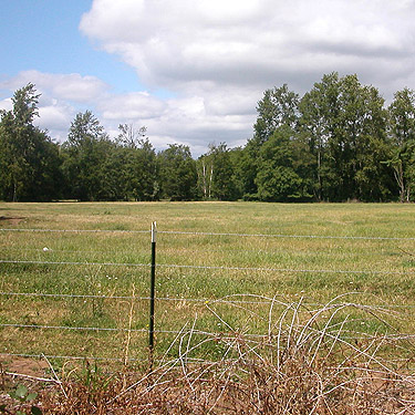 empty pasture nr pond SE of Custer, Whatcom County, Washington