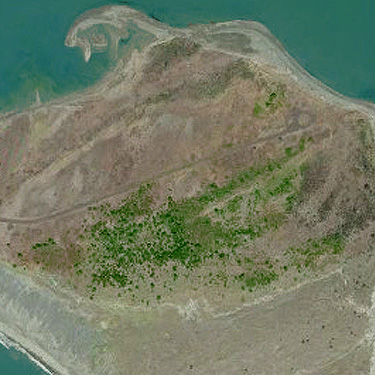 2016 aerial view of shore pine area at Damon Point, Grays Harbor County, Washington