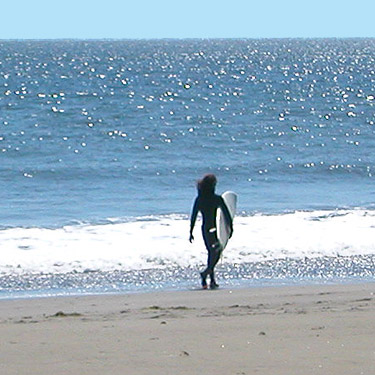 surfer girl on the beach, Damon Point, Grays Harbor County, Washington