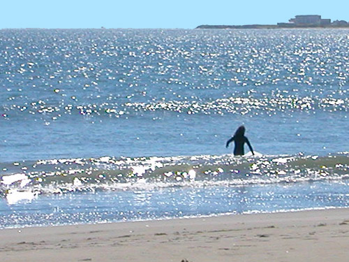 surfer girl paddling out, Damon Point, Grays Harbor County, Washington