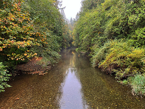 creek at Decker Creek fishing access, Mason County, Washington