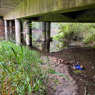 under the bridge, Decker Creek fishing access, Mason County, Washington