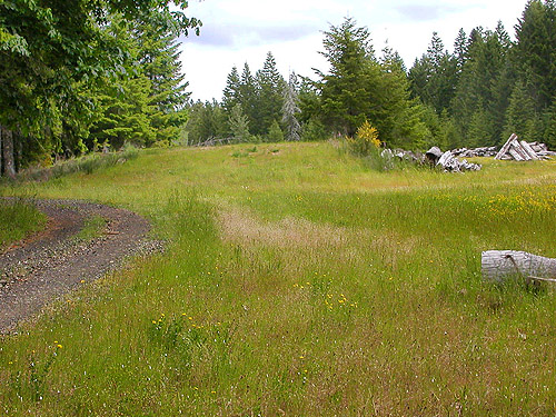 vast expanse of habitat, Deer Meadow, S end Lake Cushman, Mason County, Washington