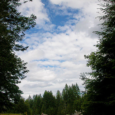partly cloudy sky, Deer Meadow, S end Lake Cushman, Mason County, Washington