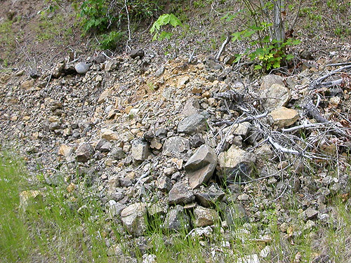 roadside rock pile, Deer Meadow, S end Lake Cushman, Mason County, Washington