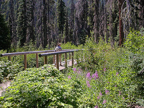 Laurel Ramseyer on footbridge, trail NW of De Roux Campground, North Fork Teanaway, Kittitas County, Washington