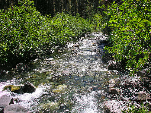 North Fork Teanaway River NW of De Roux Campground, North Fork Teanaway, Kittitas County, Washington