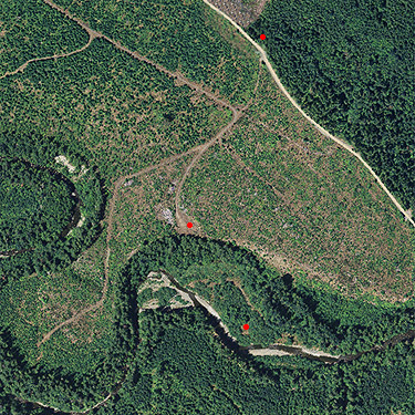 aerial view of Deschutes River spider site, Thurston County, Washington, 2018
