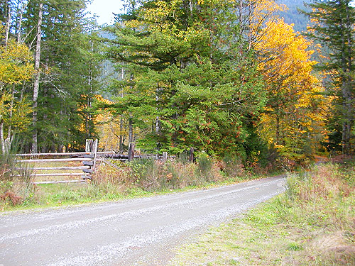 road adjacent to powerline on Diobsud Creek Road NE of Marblemount, Skagit County, Washington