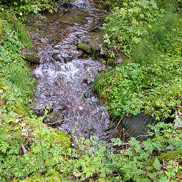 small nameless creek near site on Forest Road 18/Deer Creek, Skagit County, Washington