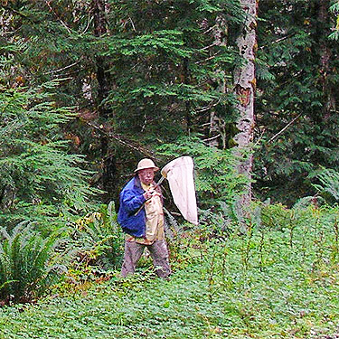 Rod Crawford emerging from forest, Road 18/Deer Creek site, Skagit County, Washington