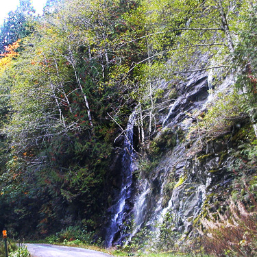 roadside waterfall along Finney Creek Road, Skagit County, Washington