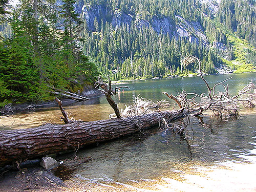 log on beach site, Lake Dorothy, Alpine Lakes, King County, Washington