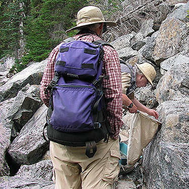 Rod Crawford and Jerry Austin collecting on talus, Lake Dorothy, Alpine Lakes, King County, Washington